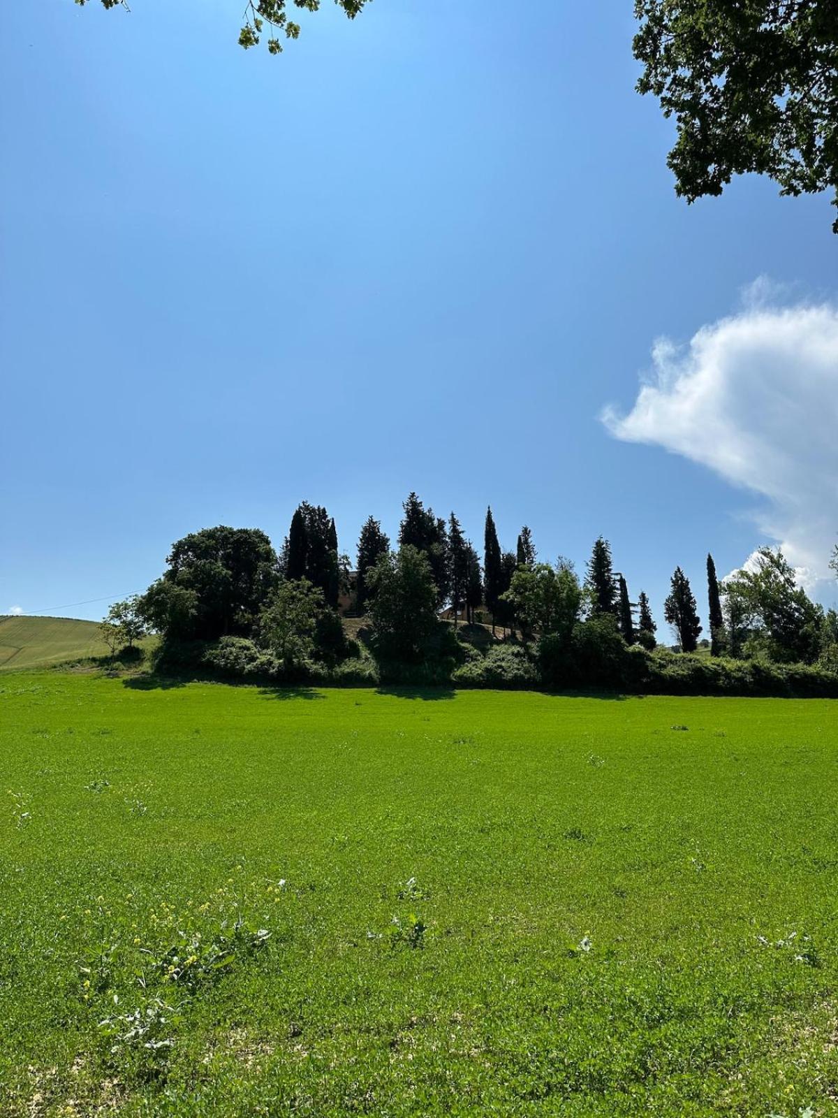 Villa Il Giardinello Montalcino Exteriör bild